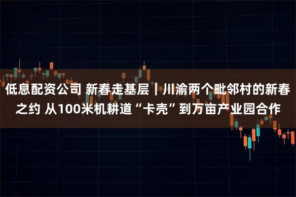 低息配资公司 新春走基层｜川渝两个毗邻村的新春之约 从100米机耕道“卡壳”到万亩产业园合作