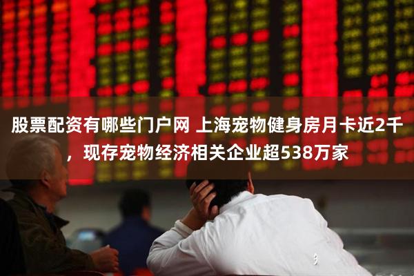 股票配资有哪些门户网 上海宠物健身房月卡近2千，现存宠物经济相关企业超538万家