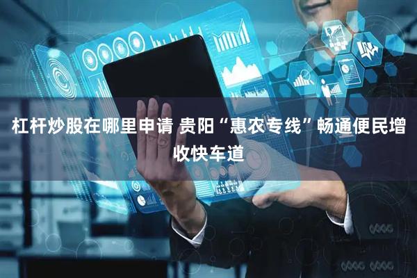 杠杆炒股在哪里申请 贵阳“惠农专线”畅通便民增收快车道